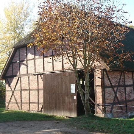 Reiterhof Gross Stubben Apartman Poseritz Kültér fotó