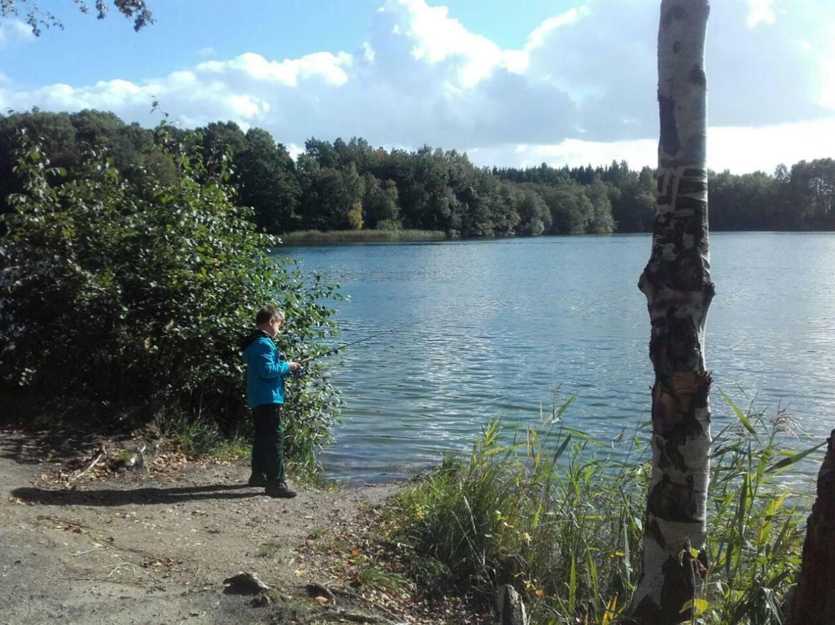 Reiterhof Gross Stubben Apartman Poseritz Kültér fotó